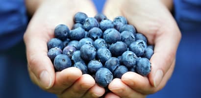 TOMRA Blueberry sorting