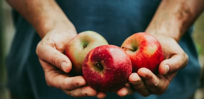 TOMRA apples sorting