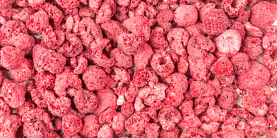 freeze-dried fruit