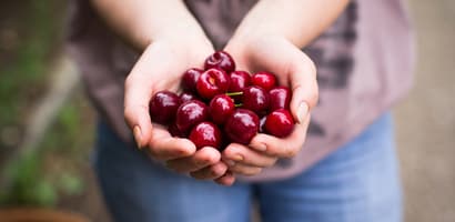 Fruit-select your product-Cherries