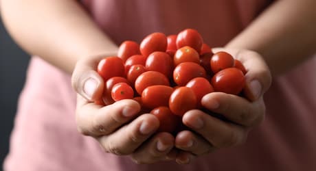 Fruit-select your product-Tomatoes