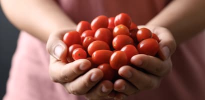 Fruit-select your product-Tomatoes