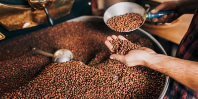 TOMRA Coffee sorting