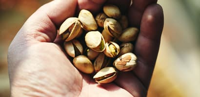 TOMRA pistachio sorting