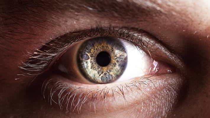 closeup of a person's eye
