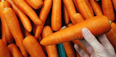 TOMRA Food carrots sorting