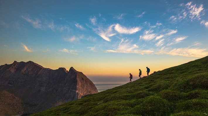 People hiking in nature