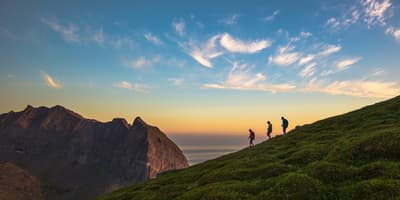 People hiking in nature
