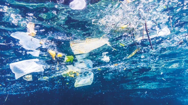 plastic pollution sea