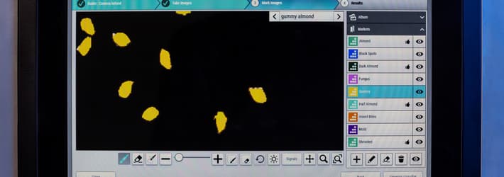 A screenshot of the classifier on the 4C nut sorting machine