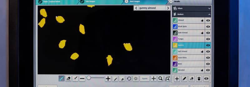 A screenshot of the classifier on the 4C nut sorting machine