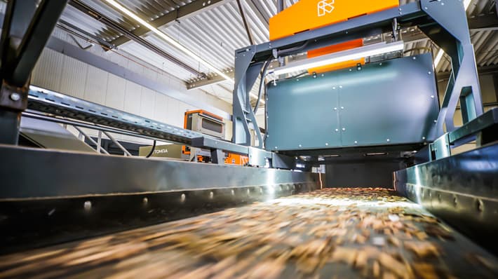 deep learning wood sorting
