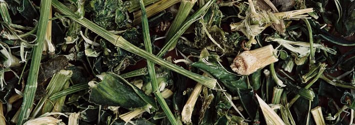 Mixed greens with foreign material