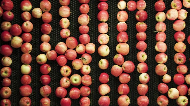 Apple sorting