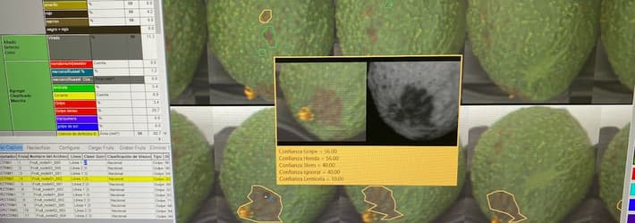 An image of the avocados in the Spectrim interface