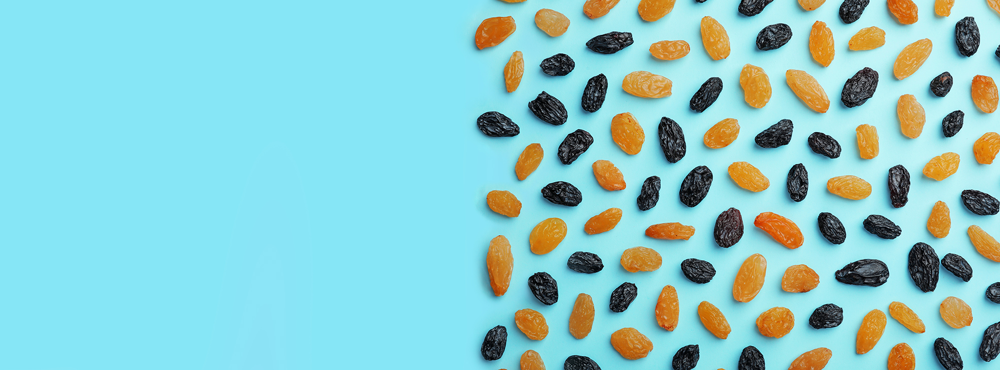 TOMRA raisins sorting