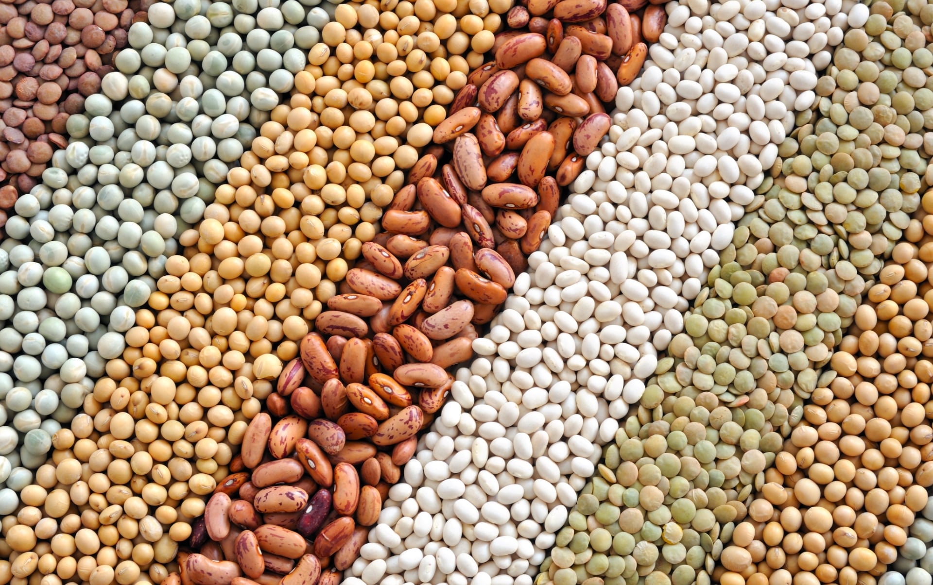 Beans banner