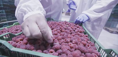 TOMRA the future of food