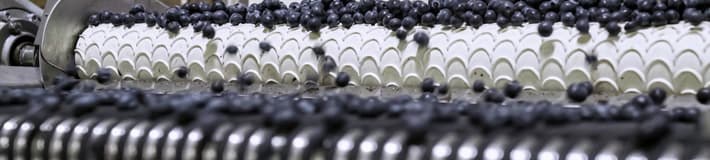 An image of blueberries moving across a blueberry eliminator machine as part of blue berry filling