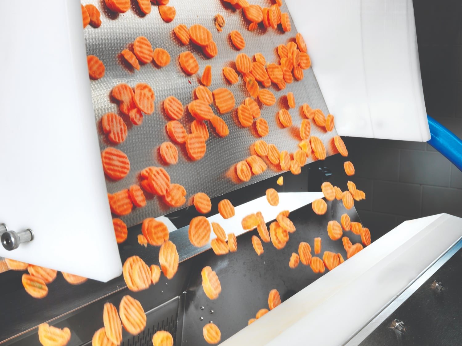 Carrots-Key_Benefits-2