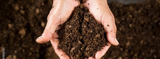 compost