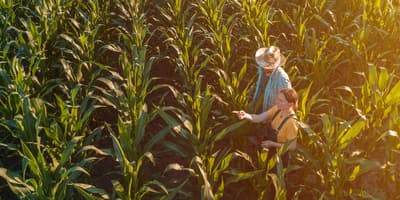 Corn-Hero
