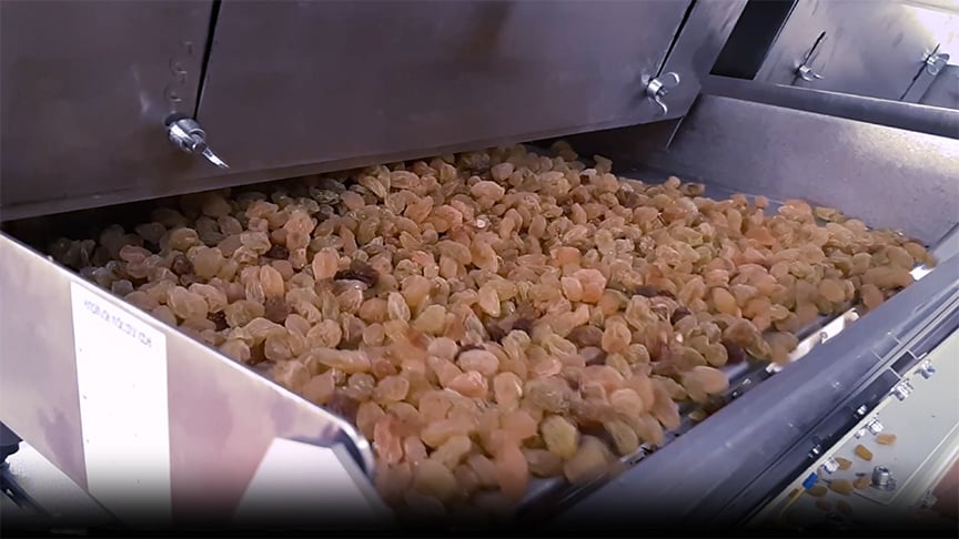 Dried fruit processing in TOMRA Machine