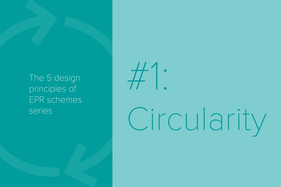 ERP design principles title 1 circularity