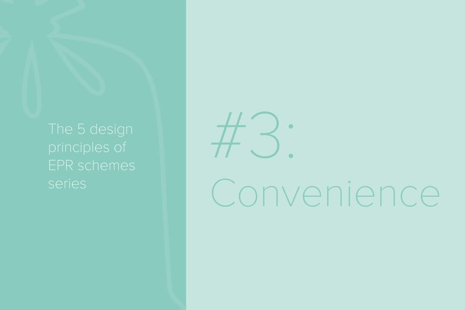 ERP design principles title 3 convenience