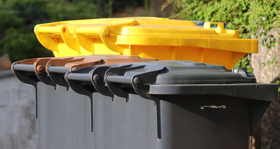 Black and yellow trash bins stand in the street