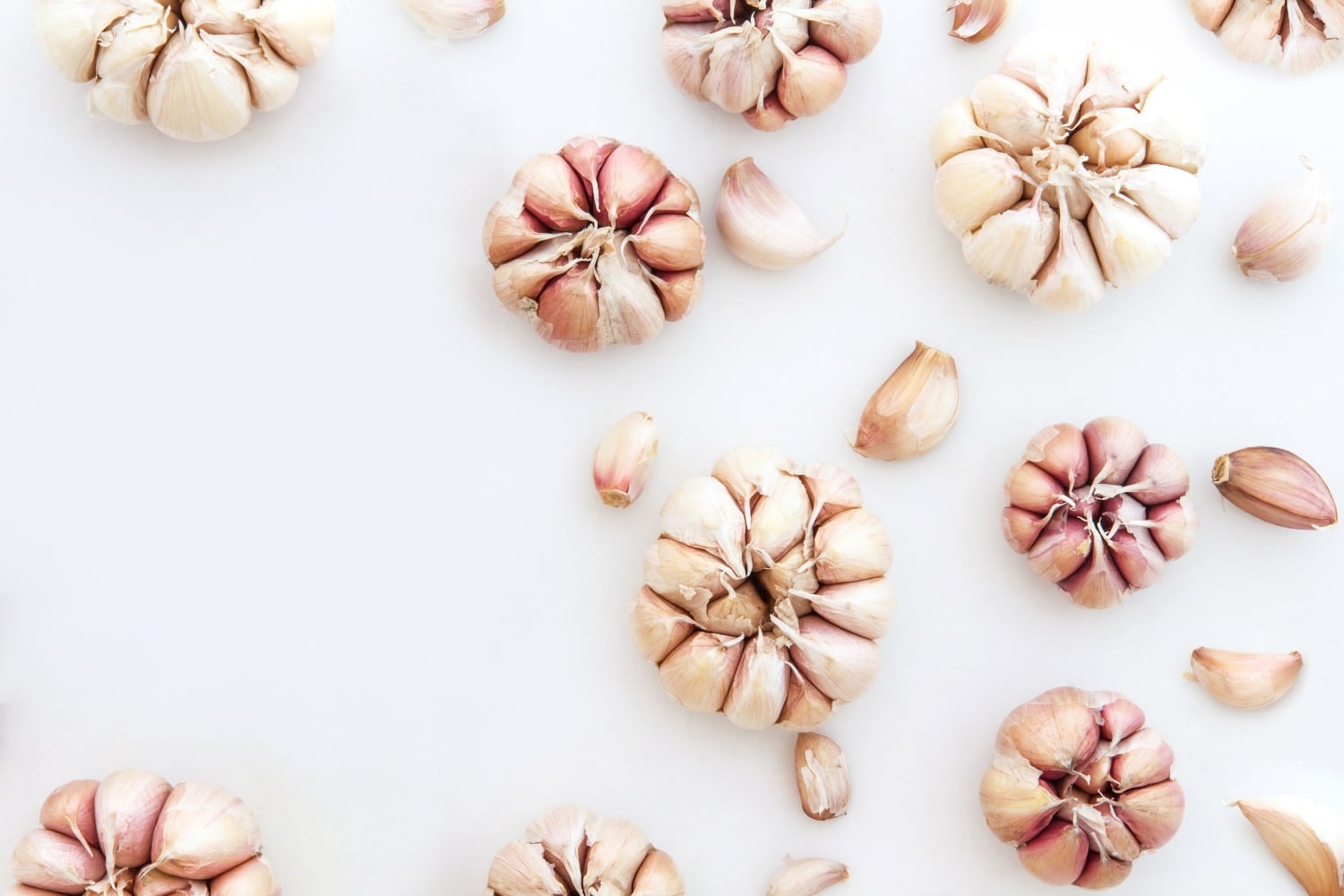 Garlic-Banner