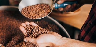 coffee beans sorting