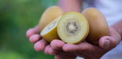 Hands_holding_kiwifruit (1)