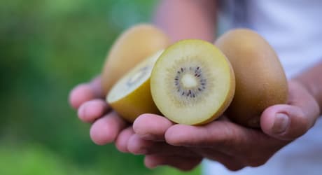 Hands_holding_kiwifruit (1)