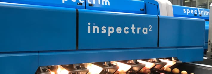 An image of the Inspectra2 internal grading system overlooking four lines of apples running on carriers