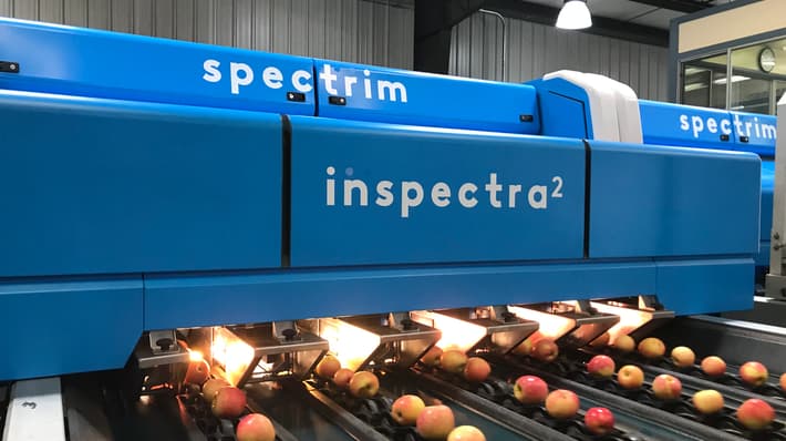 An image of the Inspectra2 internal grading system overlooking four lines of apples running on carriers