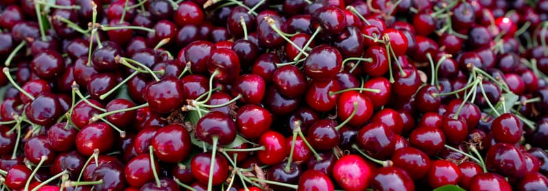 Cherries with stems