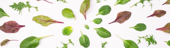Leafy_Greens-KB-01