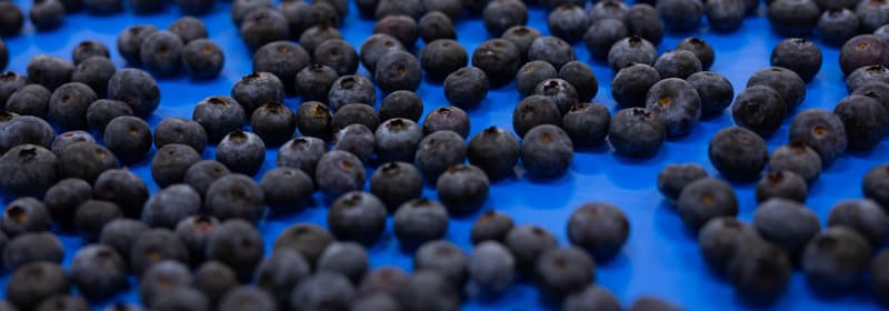 Blueberries on a blue surface