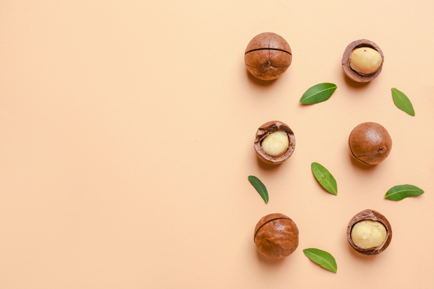Macadamias-Banner