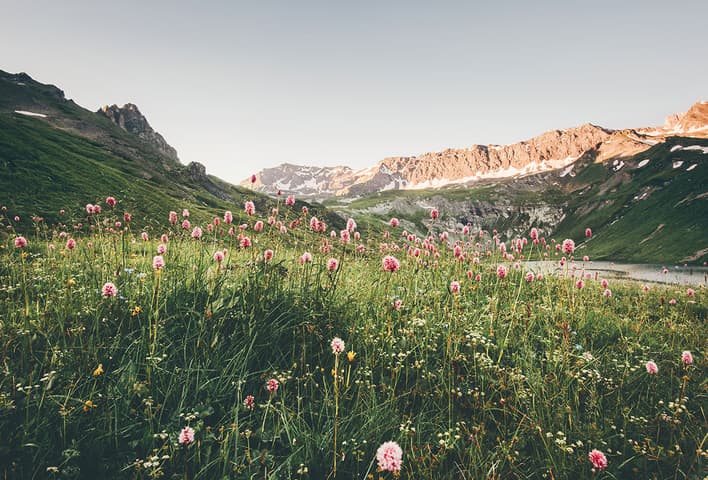 Nature without waste