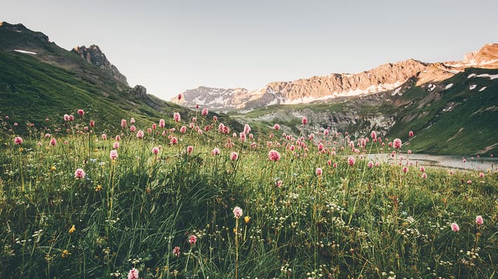 Nature without waste