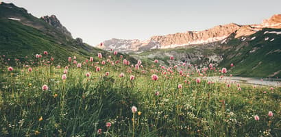 Nature without waste