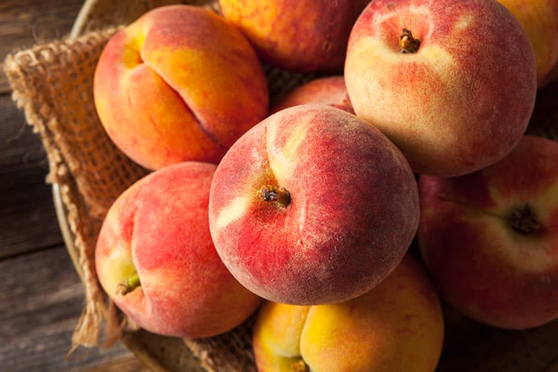 Nectarines