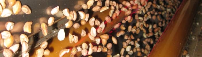 Nuts-Peanuts-KB-04