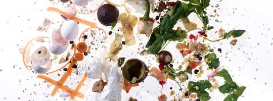 organic waste small