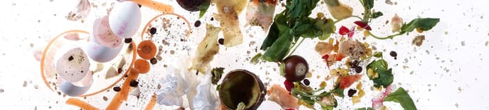 organic waste small