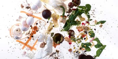 organic waste small