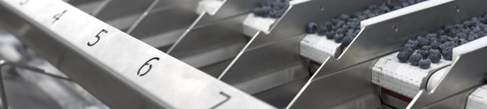 Blueberry packing and filling machine