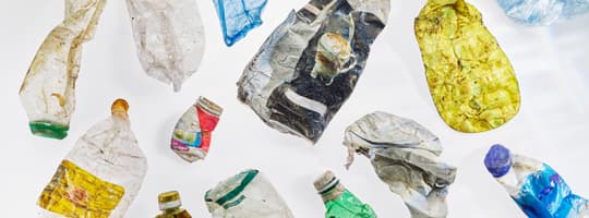 PET_FOOD_TOMRA_Material_2024_2856_white-website version